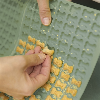 Trixie Lime Silikonform För Hemlagade Hundgodis Formade Som Köttben